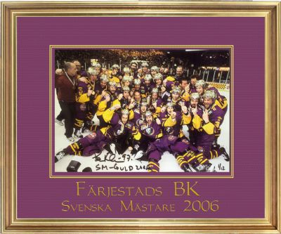 Färjestad Per Ledin