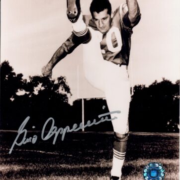 Gino Cappelletti - Boston Patriots