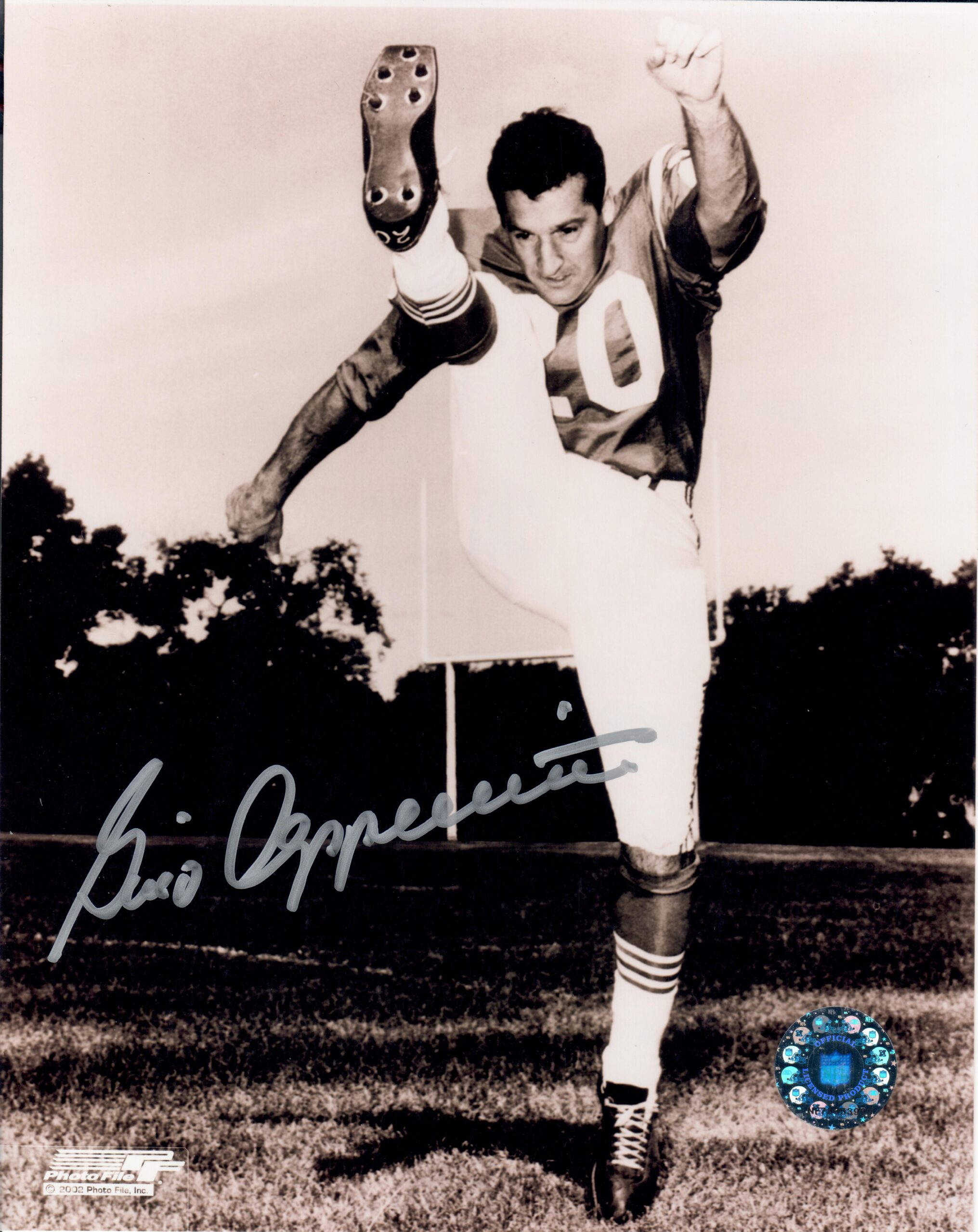 Gino Cappelletti - Boston Patriots